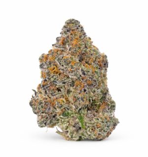 CHERRY DO-SI-DOS | Hybrid